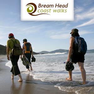Bream Head Coast Walks teaser image