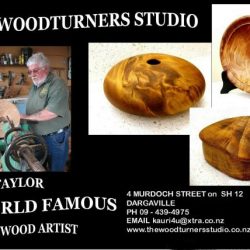 The Woodturners Kauri Gallery - gallery thumbnail