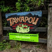 Tawapou Coastal Natives - gallery thumbnail