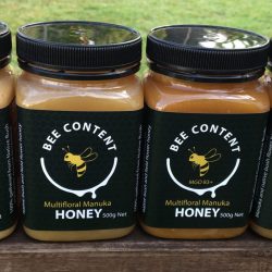 Bee Content Honey - gallery thumbnail
